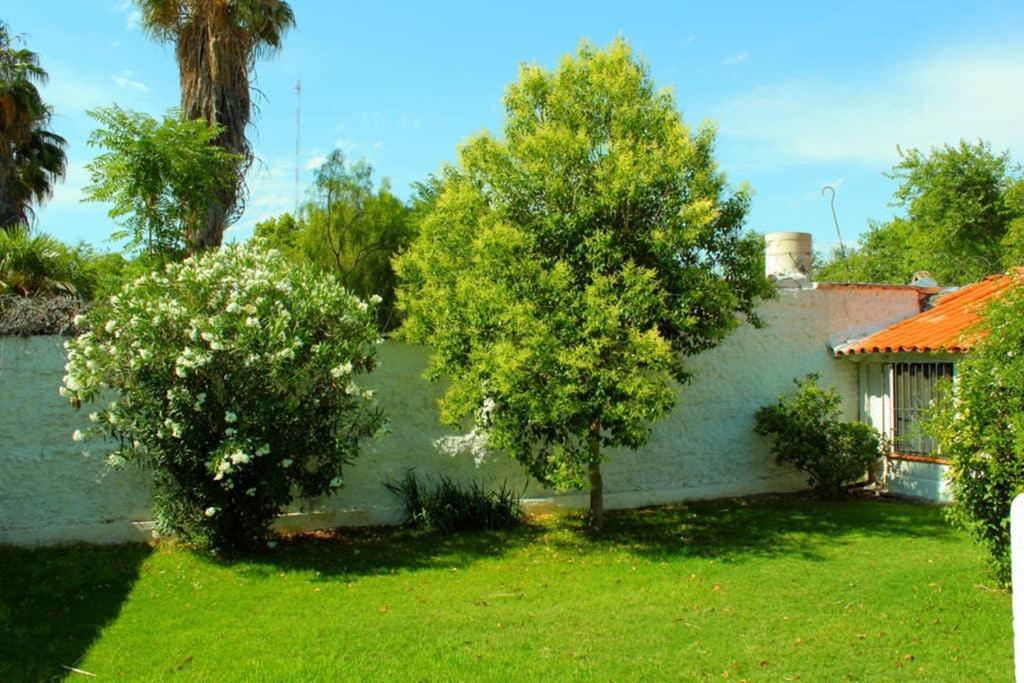 Villa Big Beautiful House With Garden In 5Ta Seccion Neighbourhood Mendoza Esterno foto