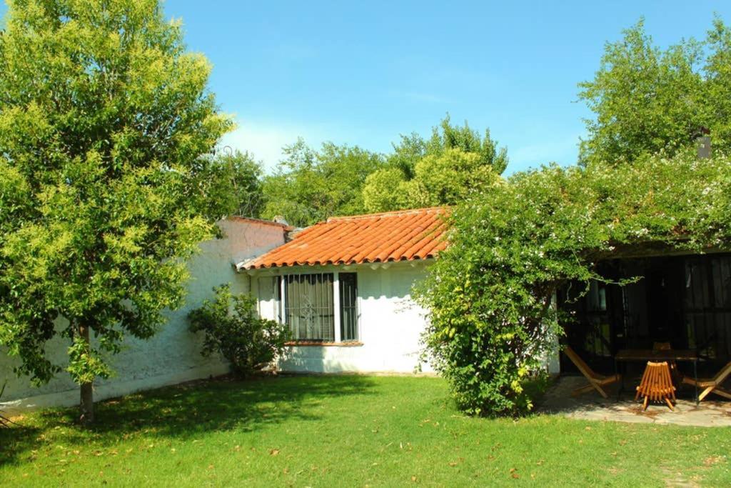 Villa Big Beautiful House With Garden In 5Ta Seccion Neighbourhood Mendoza Esterno foto